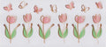 Minimalist Pink Tulip Wrap